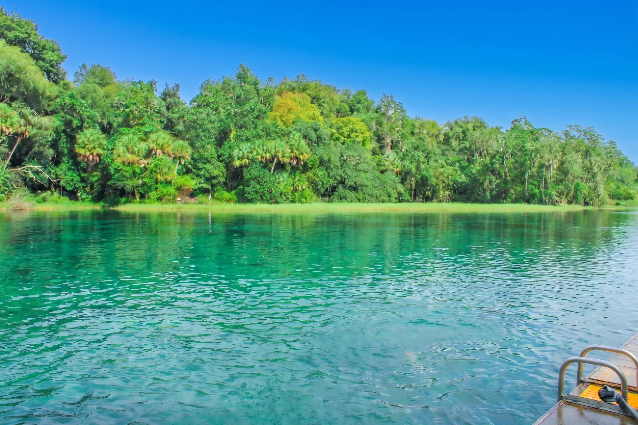 Rainbow Springs Now Requires Reservations Starting April 29